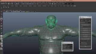 Script for Blendshapes in Maya AbSymMesh