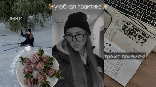 видео: учебная практика, лыжи, зал | влог! картинка: учебная практика, лыжи, зал | влог!