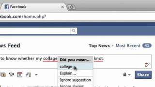After The Deadline: A Great Spelling and Grammar Checker for Chrome and Firefox screenshot 3