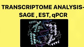 Transcriptomes Analysis-EST , qPCR , SAGE , CHIPseq , RNAseq ,RNA interference, Differential display