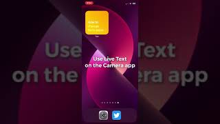 Celebrity Use Live Text on the Camera app — iOS 15 for iPhones Profile