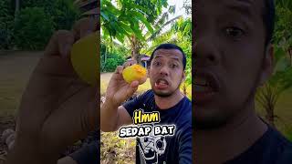 Mukbang mangga ungu isi orange..hmm sedap bat