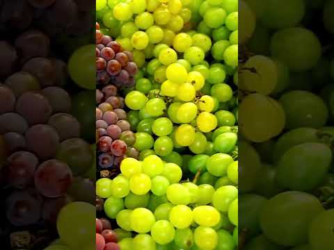 Grapes benefits #fruitsbenefits #facts #nutritionassistance #grape #usashorts #fruit