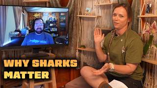 Why You Should Care About Sharks