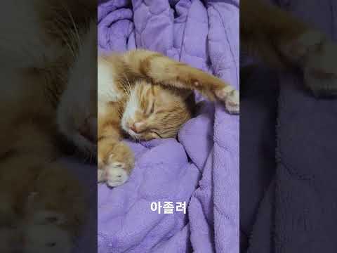 2023년 7월 15일