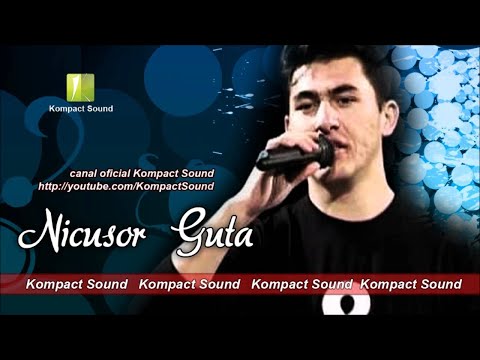 Nicusor Guta - Cine, cine