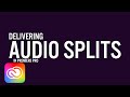 Exporting Split Track Audio from Premiere Pro | Adobe Creative Cloud