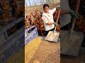 Farm Life: Woman Prepares Chicken Feed for Hungry Flock.