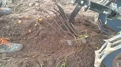 Копка картошки мотоблоком .