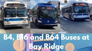 B4, B16 and B64 Buses at @BayRidge