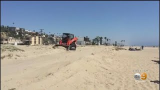 Outrage As Developer Bulldozes Ecologically Sensitive Playa Del Rey Dunes
