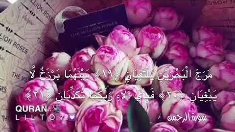 عبد الرحمن العوسي تلاوة رائعة /حالات واتس اب قرآن كريم