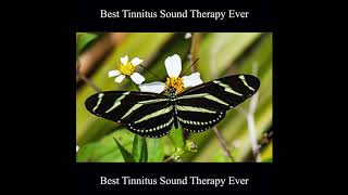 Best Tinnitus Sound Therapy Ever 10 Hours
