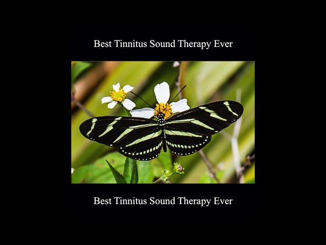 Best Tinnitus Sound Therapy Ever 10 Hours class=