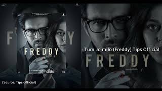 Tum Jo Milo  | Freddy | Kartik Aaryan, Alaya F | Pritam | Abhijeet Srivastava | Irshad Kamil | Audio Thumb