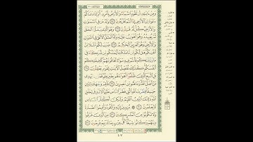 الورد اليومى سورة الروم من الاية 25 الى الاية 32 بصوت القارئ الشيخ ماهر المعيقلى   #ماهر_المعيقلي