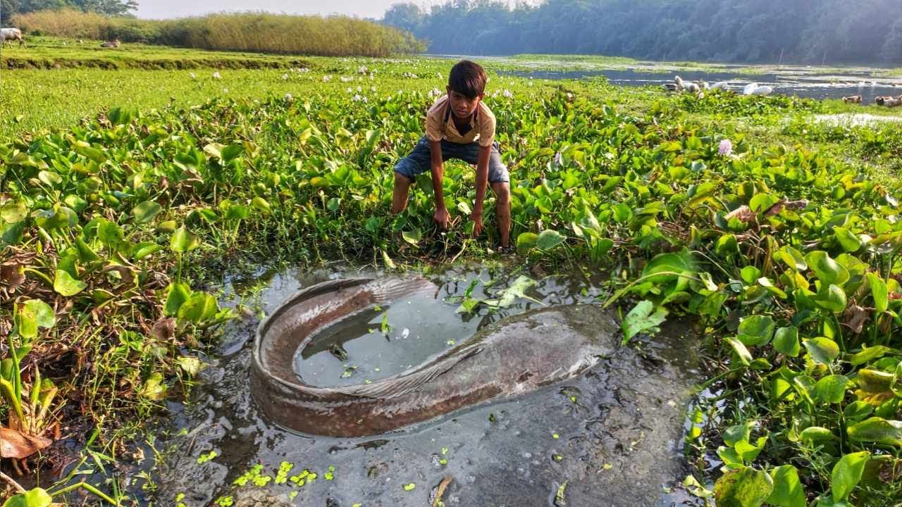 Amazing Hand Fishing Video. A Boy Catching Big Fish In Mud Water - YouTube