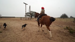 100 Martina Gil 2020 (bloque 2) Estancias y Tradiciones