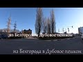 из Белгорода в Дубовое пешком