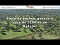 Finca dehesa y caza de 1200 ha en Badajoz