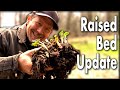 Can&#39;t Kill Rhubarb! Raised Bed Garden Tour