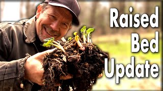 Can&#39;t Kill Rhubarb! Raised Bed Garden Tour