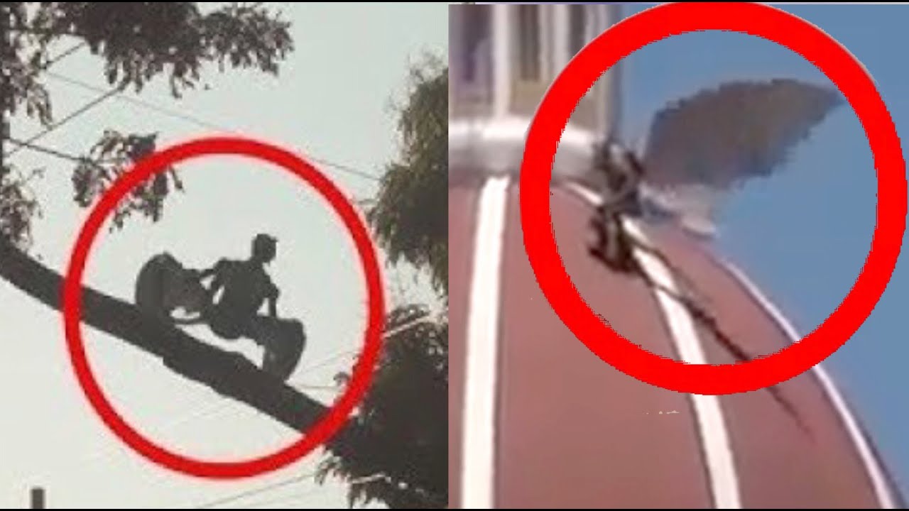 5 Gargolas Reales Vistas Volando En El Cielo - YouTube