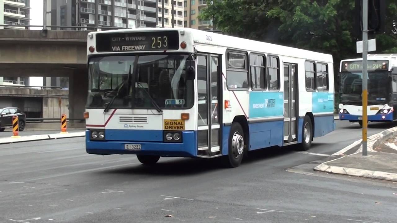 Morning peak buses at Lang Park - Sydney Transport
