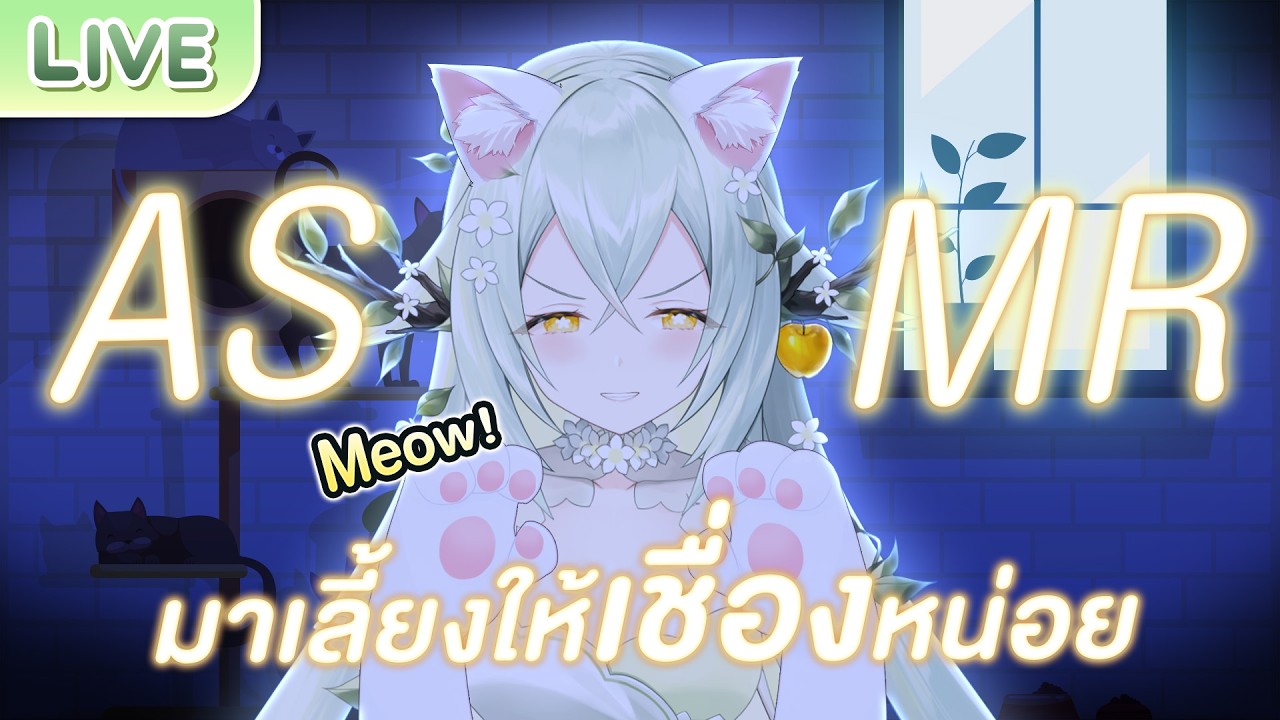 【ASMR】มาเลี้ยงแมวตัวนี้ให้เชื่องที