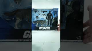 Weekend Toy Haul July 24 2021 G.I.Joe Classified Series Snake Eyes & Timber Chefatron Review