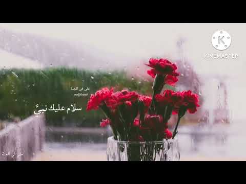 افيض من الدمع شوقا إليه