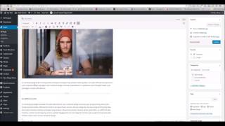 Stack WordPress Theme   Whats New In Version 1 0 9