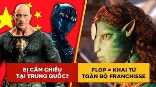 Phê Phim News: KHAI TỬ AVATAR nếu hậu truyện FLOP | TRUNG QUỐC cấm chiếu BLACK ADAM & BLACK PANTHER?