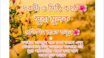 Surah Al-Mulk (The Sovereignty) | سورة الملك | Ridjaal Ahmed/ দরদী কন্ঠে সুরা মুলক