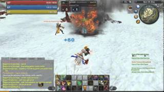 Raiderz Esctasis Hack in server Crawler 1
