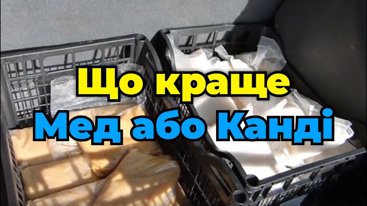 Канді або мед - чи потрібні  дотації  бджолам під час зимівлі пасіки. .