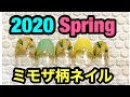 【２０２０春ネイル】ミモザ柄ネイル