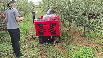 Soil remediation robot enters the apple orchard to perform fertilization work.