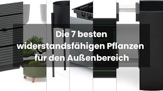 Die 7 besten widerstandsfähigen Pflanzen für den Außenbereich