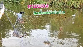 ยามมอง 4.5 เซน บรรยากาศตอนเช้าๆ หลังฝนตกหนัก ปลาตื่นน้ำใหม่ ได้ปลาเยอะเกินคาด