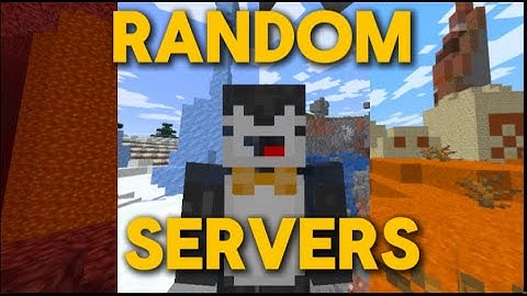 Joining Random Minecraft Servers Until I Complete My Goals