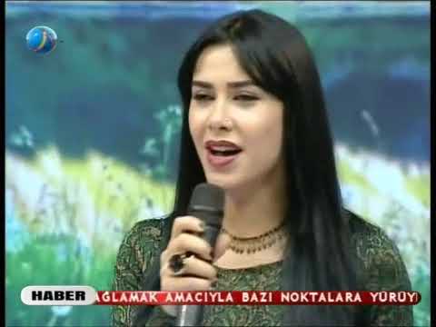 SEVDA GÜL+++++++ŞU AKKUŞUN GÜRGENLERİ