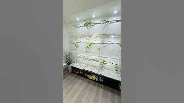 Green Tree Python Room #chondro