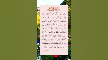 سورة يس 🤍🫀 #قران_كريم #سورة_يس  #تلاوة