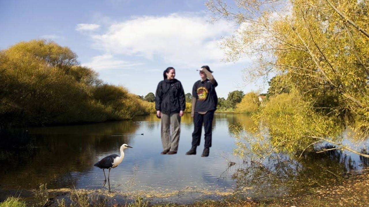 Loot Lake Bird Spotting 