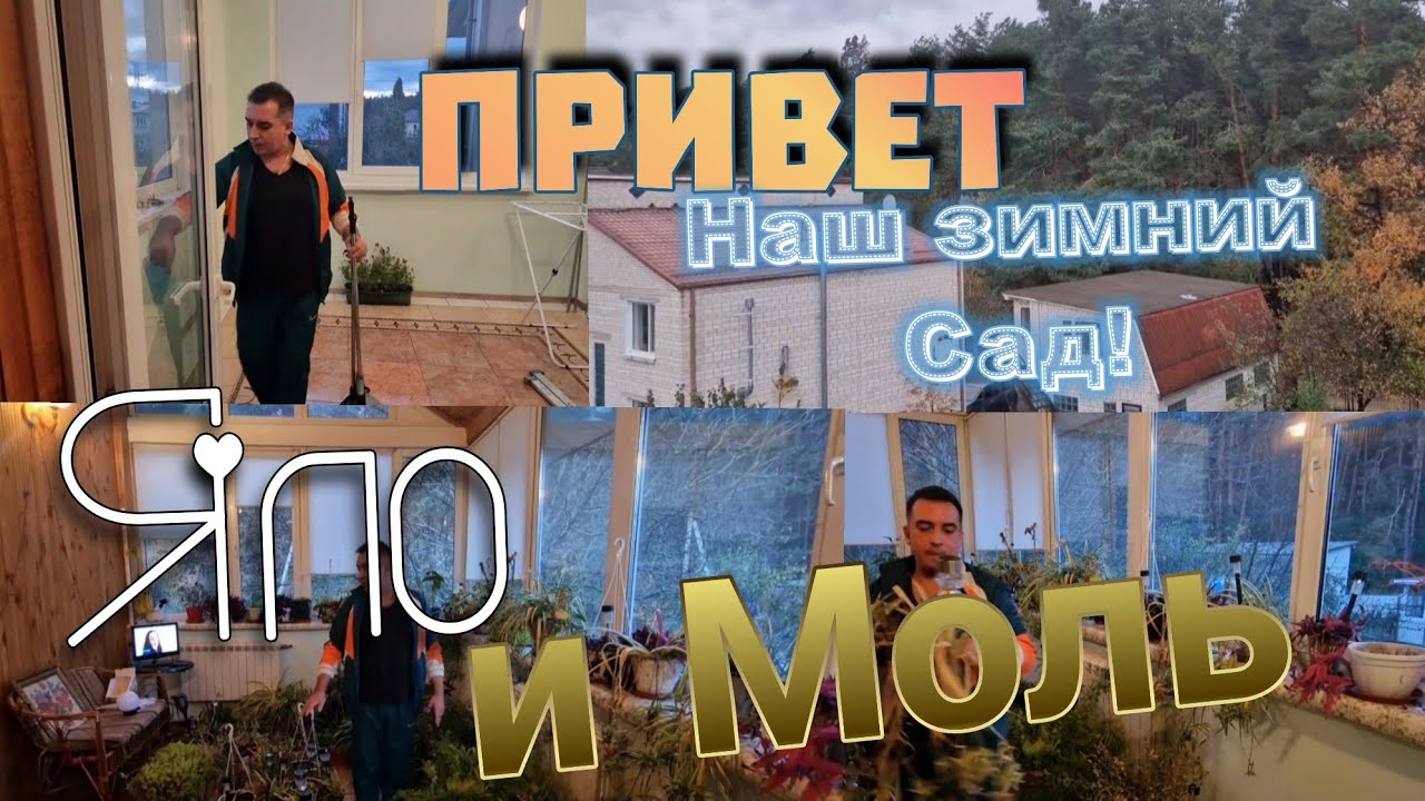 Яло и Моль привет 👋Наш зимний сад 🥰👍Ураган в Киеве, танцующий лес!!!👀 ...