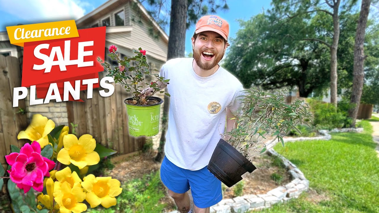 Buying CLEARANCE PLANTS To Transform My Garden! Native Plant Shopping
