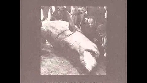 The Rita - Thousands Of Dead Gods