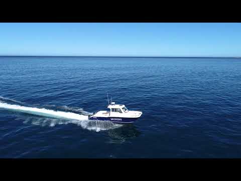 Magnum 2750 Power Catamaran