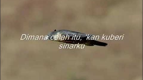 terlalu indah